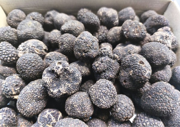 Geschmorte Ochsenbacken mit Périgord Trüffel , Kartoffelmoussline und Rahmwirsing